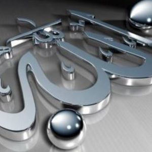 Meet your Posher, Weam